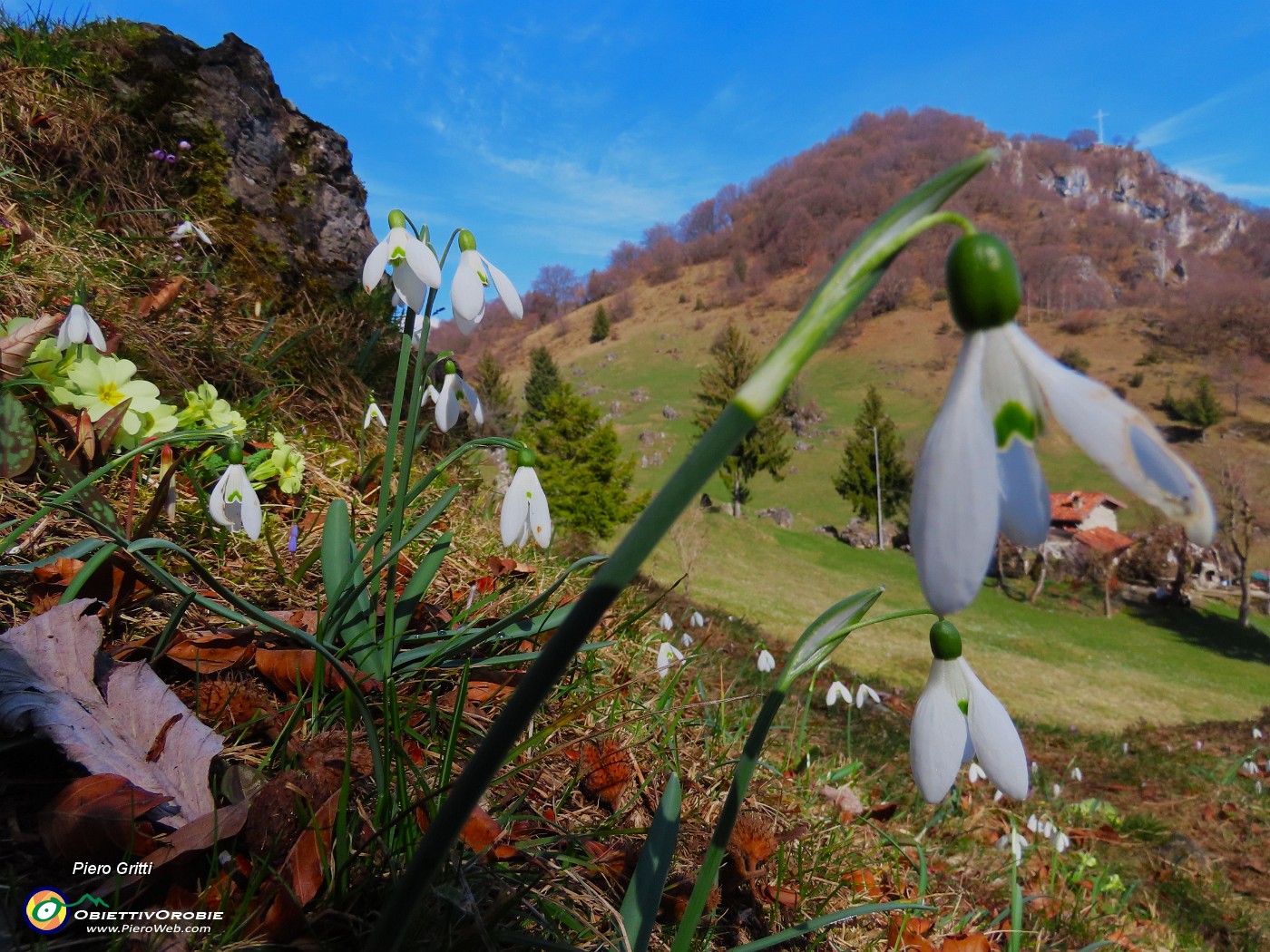 45 Galanthus nivalis (Bucanevi) con vista sulla cima del Monte Zucco.JPG